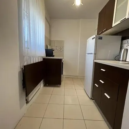 Daire Downtown By Darius Bükreş